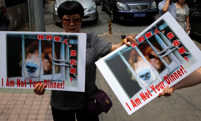 Millions of Chinese are calling for end to the Yulin dog meat festival